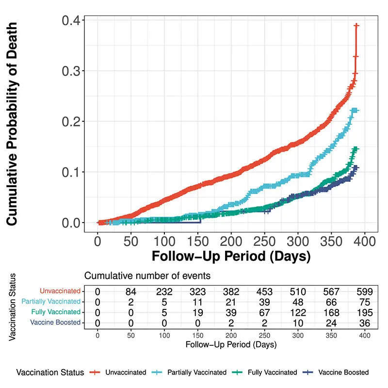 The cumulative incidence curve for mortality, stratifiedby vaccination status.

