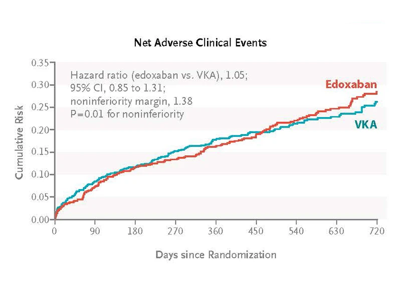  A prospective, randomized trial examined the safety and efficacy of edoxaban compared with vitamin K antagonists in patients with atrial fibrillation after TAVR.