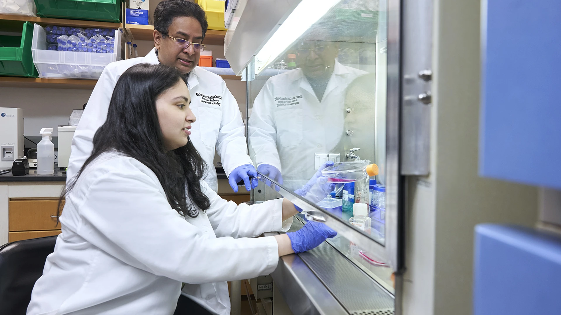 Dr. Chakraborty’s (right) and Nabila Zaman (left) are working on a new study, which involves creating 2D cell culture models and 3D organoids derived from human prostate tumor cells to model how mutations in various DNA damage repair genes may induce tumor cells’ resistance to androgen-deprivation therapy.
