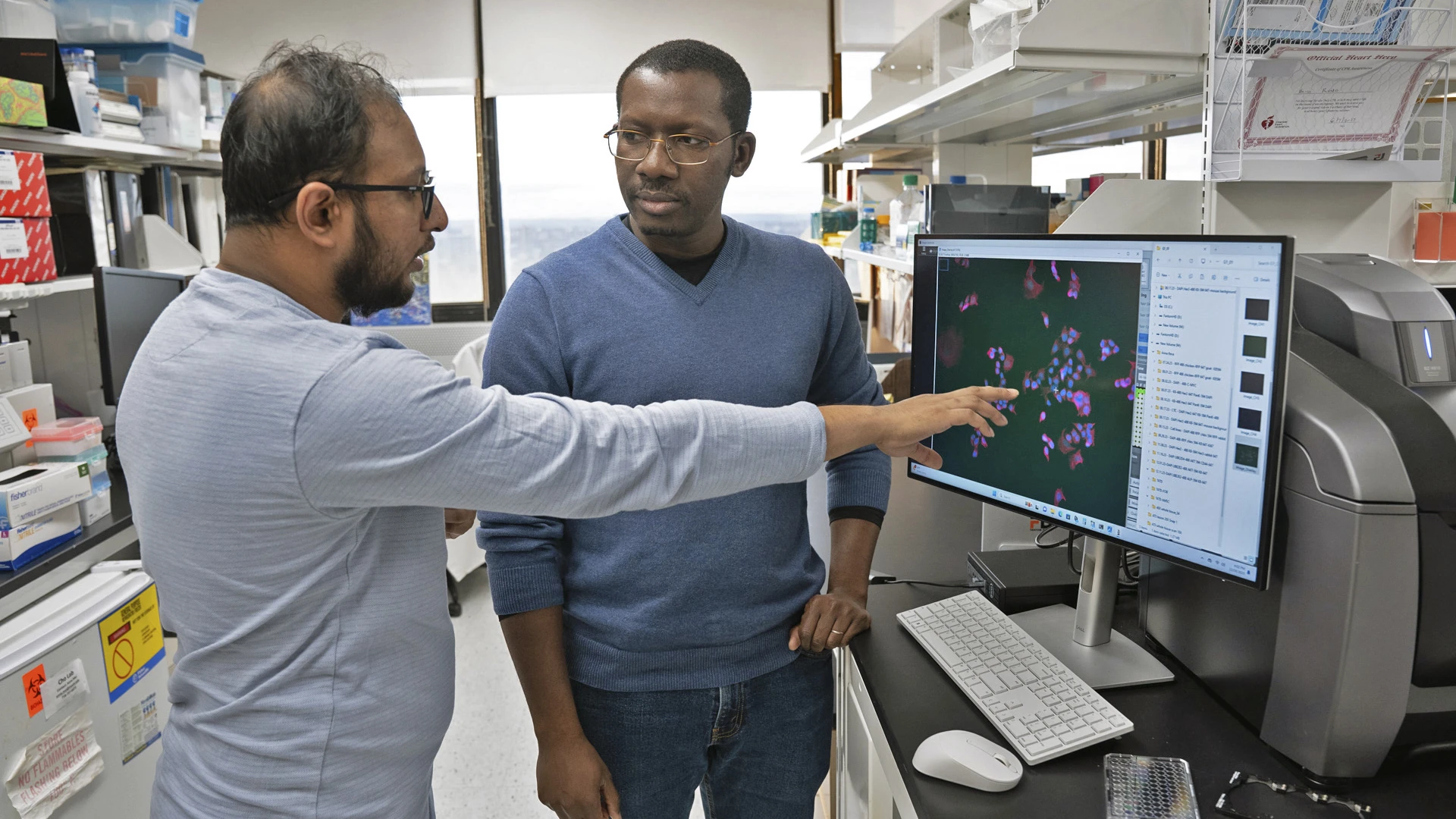 Imaging is an important component of Dr. Bado's (right) and lab member Alam's (left) work. At the imaging station, the team scans thousands of samples regarding receptor activity of FGF2, tying links to tissue function.
