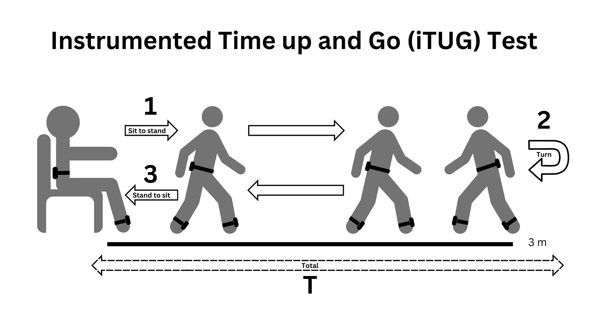 Participants, wearing wireless sensors, complete a series of subcomponents of the iTUG test: 1) Sit to stand; 2) turn; and 3) stand to sit. 