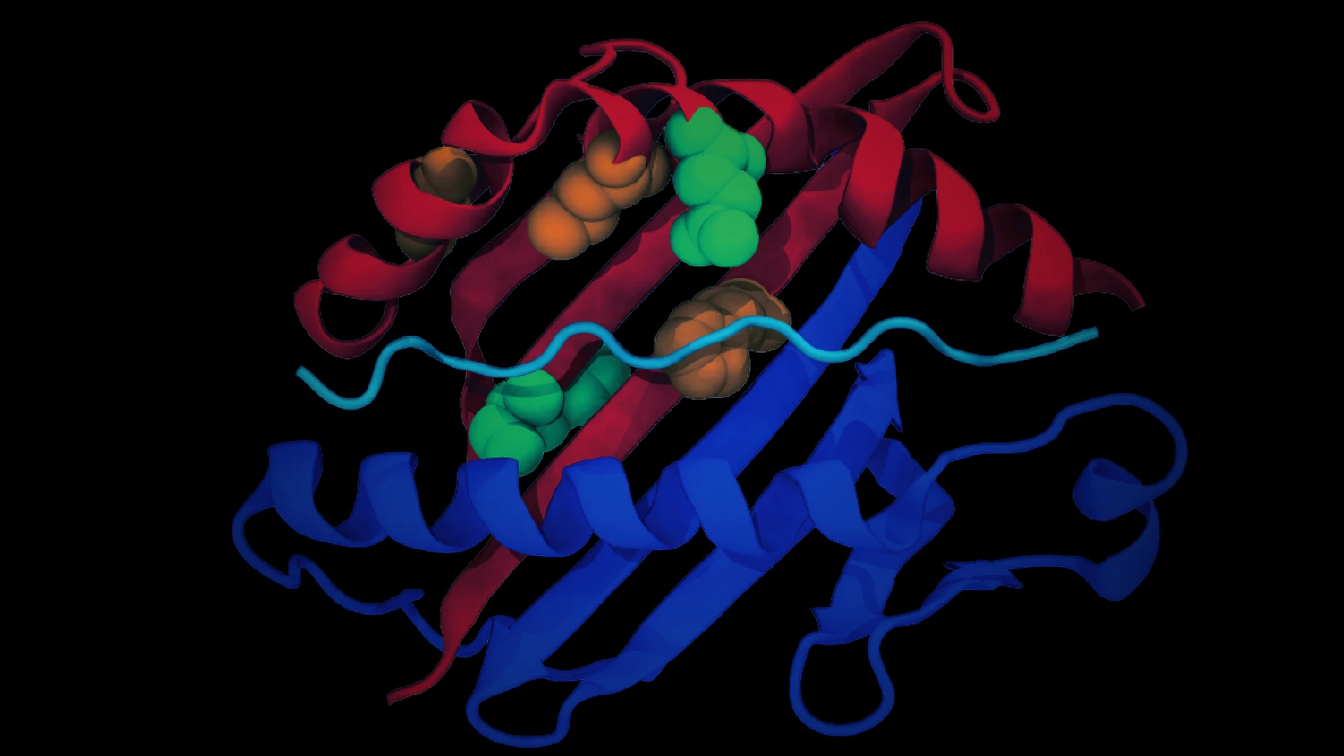 The Role of Human Leukocyte Antigens in Reducing Lung Cancer Risk