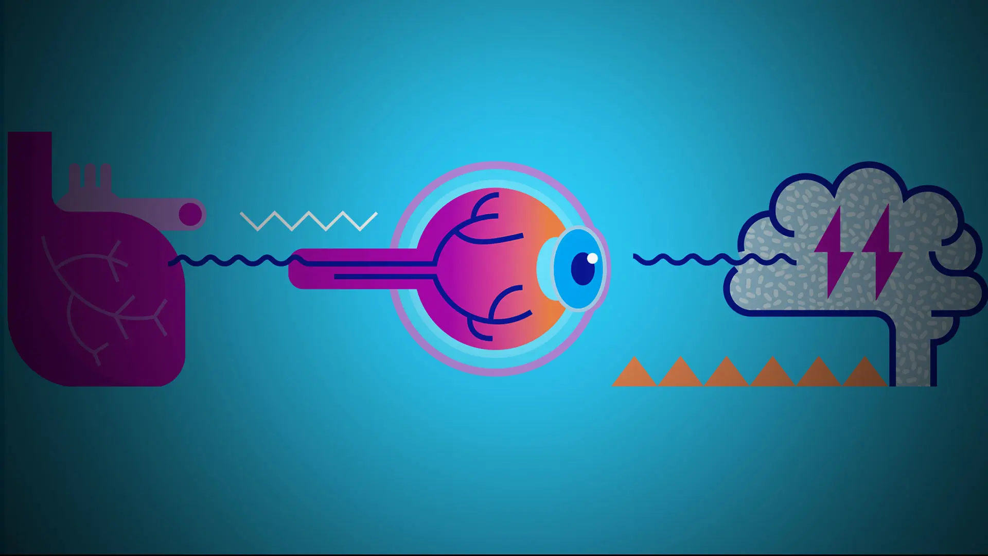 Two Distinct Pathways Are Identified for Age-Related Macular Degeneration