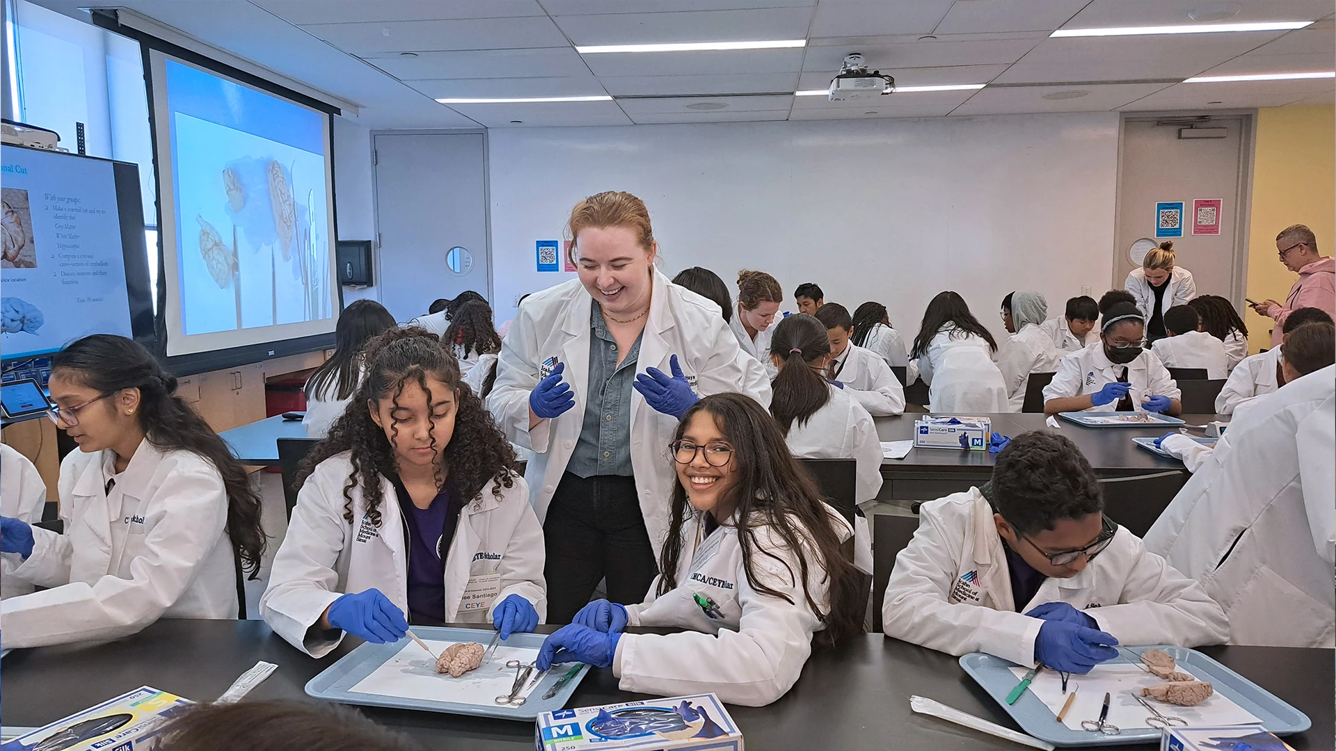 After an anatomy and pathology lesson, Day with a Scientist eighth grade students take a look at a brain for themselves. Guided by Emma Hays, a Neuroscience PhD student at Mount Sinai, students explore the lobes, ventricles, sulci, and gyri of a sheep brain.