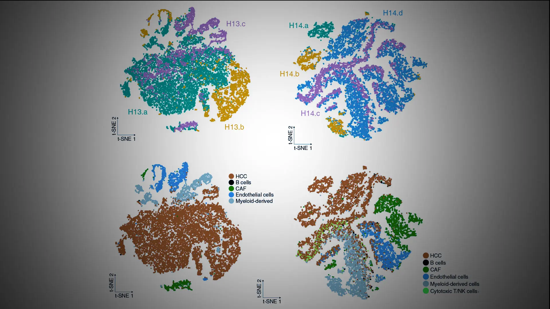 Liquid Biopsy Technique May Revolutionize Detection of Hepatocellular Carcinoma