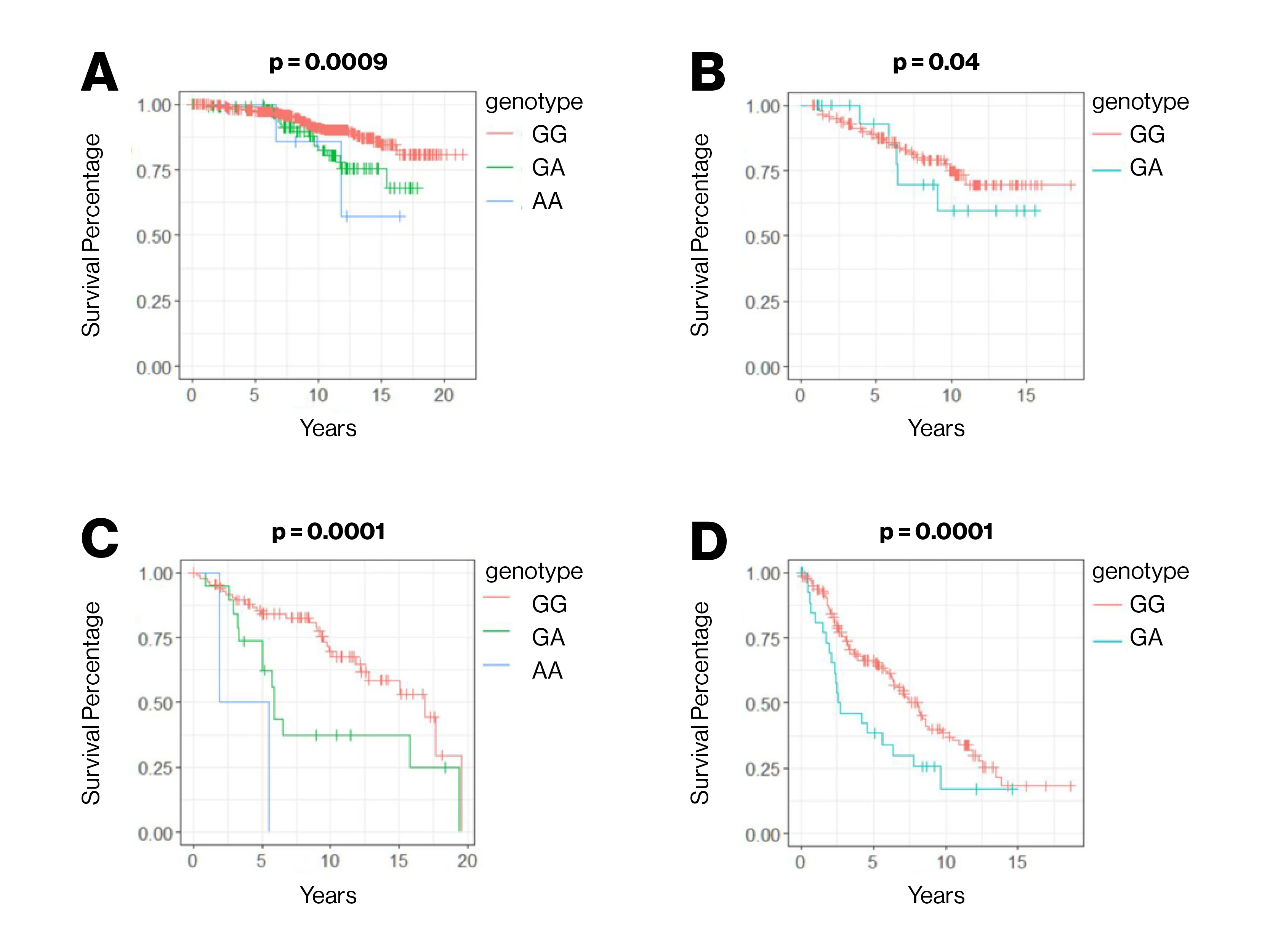 Overall survival from the time of prostate cancer diagnosis worsens with each additional copy of the “A” allele at the AOX1 gene. This observation holds in both aggressive (A,C) and non-aggressive (B,D) prostate cancer cases, as well as in cases diagnosed at both an advanced (C,D) and non-advanced (A,B) stage. 





   





