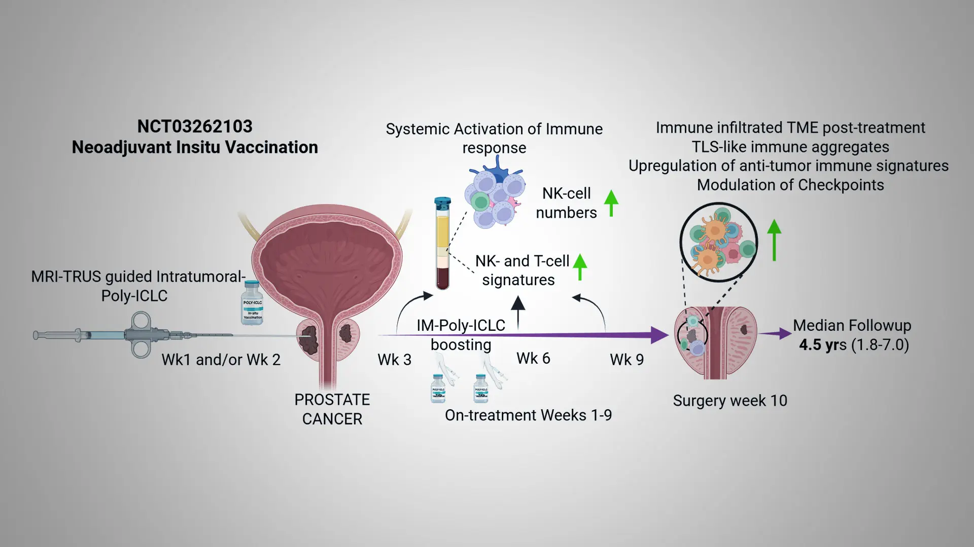 Early Clinical Trial Tests Immune-Boosting Therapy Before Prostate Cancer Surgery