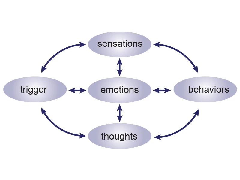 Figure 4. The team developed and validated an online emotion regulation (EmReg) intervention for individuals with TBI.