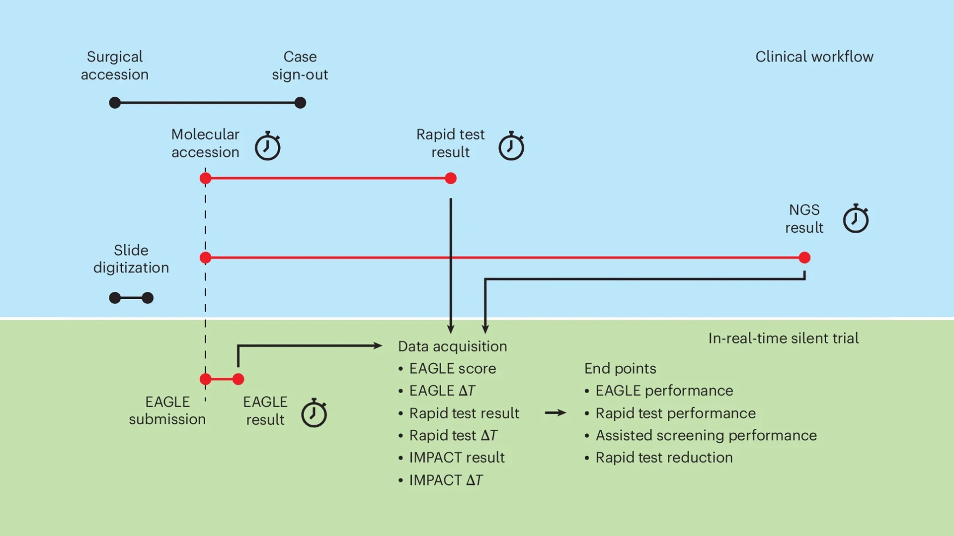 A schematic of the "silent trial" of the EAGLE model. In blue, relevant components of the standard clinical workflow are shown along a timeline. ΔT indicates the time from molecular accession to the availability of a result. The silent trial components occurring in parallel with the clinical workflow are indicated in green. 