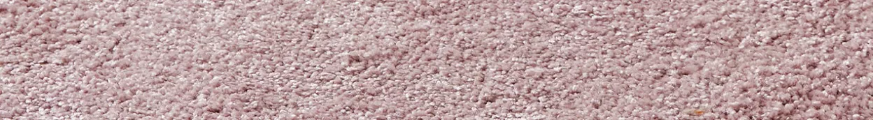 NL-BE-CP-Alles-over-vloeren tapijt tips-en-informatie hoe-tapijt-reinigen 2