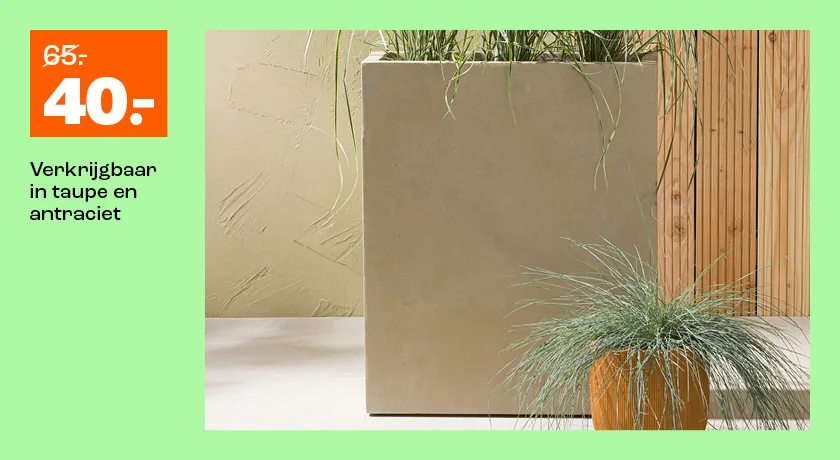 Bloempot Divider van 65.- voor 40.-