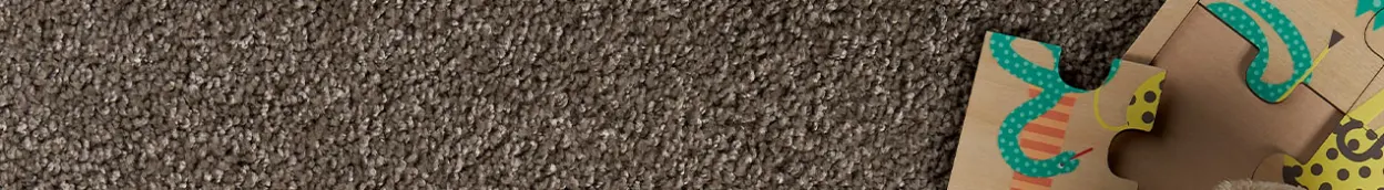 NL-BE-CP-Alles-over-vloeren tapijt tips-en-informatie welk-schoonmaakmiddel-tapijt