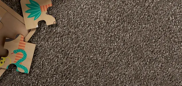 NL-BE-CP-Alles-over-vloeren tapijt zelf-inmeten-en-leggen laten-plaatsen laten-leggen