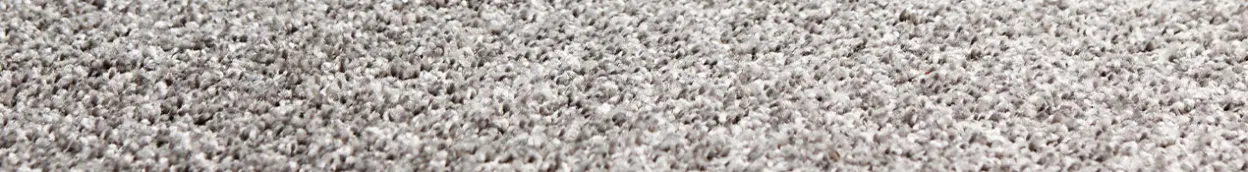 NL-BE-CP-Alles-over-vloeren tapijt tips-en-informatie hoe-tapijt-reinigen-met-stoomreiniger 2