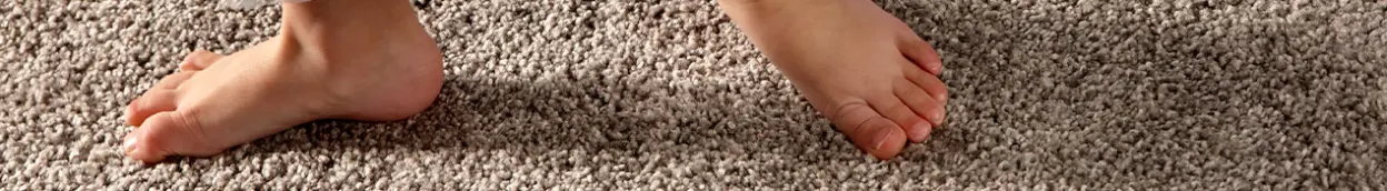 NL-BE-CP-Alles-over-vloeren tapijt tips-en-informatie hoe-tapijt-reinigen-met-stoomreiniger 1