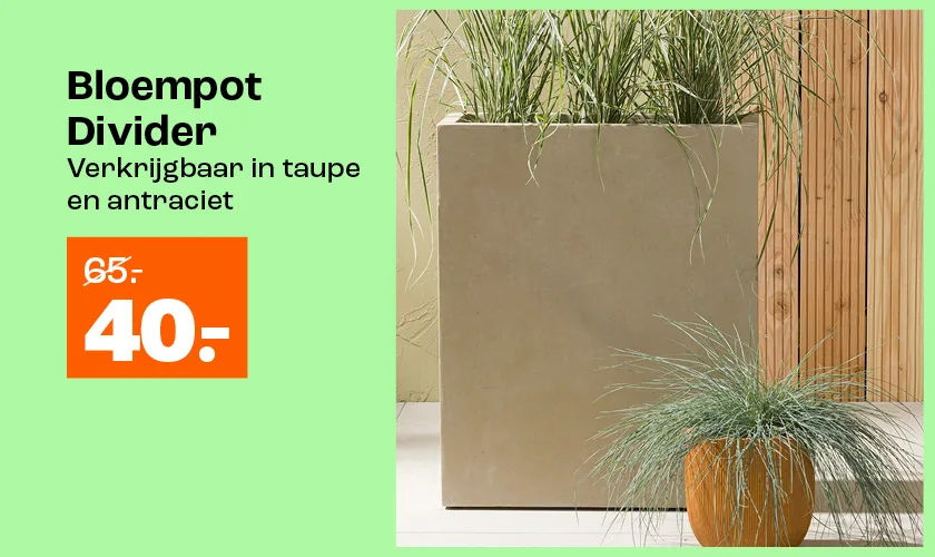 Bloempot Divider van 65.- voor 40.-