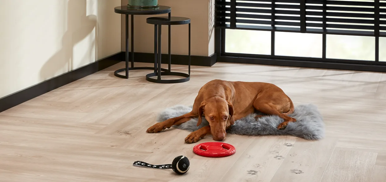 NL-BE-CP-Alles-over-vloeren vinyl-vloeren schoonmaken-en-reinigen header MOB