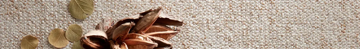 NL-CP-Alles-over-vloeren tapijt tips-en-informatie kun-je-tapijt-buiten-leggen header