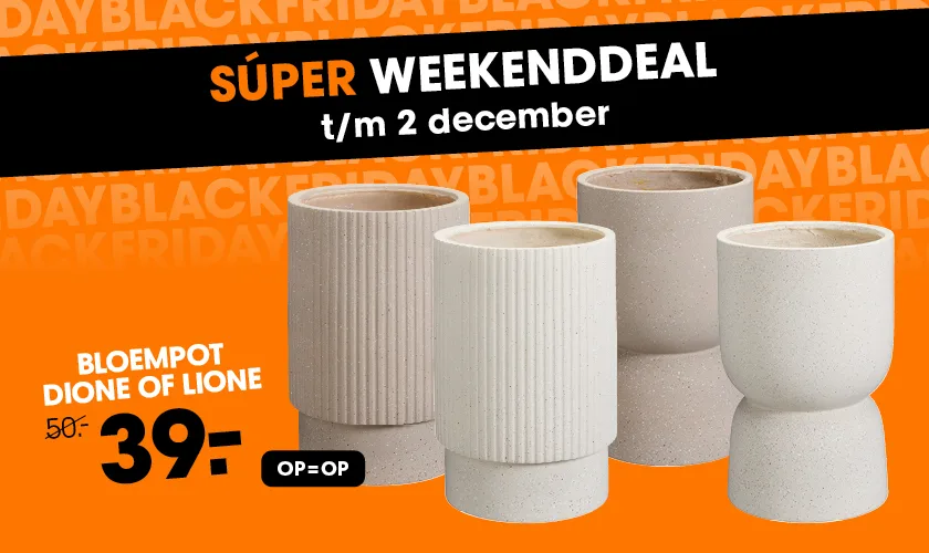 Banner 3 DESK Superweekend deal bloempot Dione/Lione W48 - 21 t/m 28 november - Homepage - NL+BE