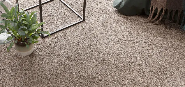 NL-BE-CP-Alles-over-vloeren tapijt zelf-inmeten-en-leggen laten-plaatsen gratis-gelegd