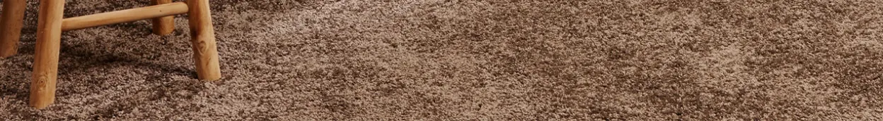 NL-CP-Alles-over-vloeren tapijt tips-en-informatie hoe-hoogpolig-tapijt-reinigen header