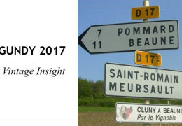 Burgundy 2017 Early Vintage Insight