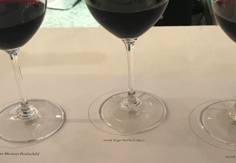 2008 Fine Wine Horizontal: Cardinale fronts up to Mouton Rothschild, Vega Sicilia & Sine Qua Non