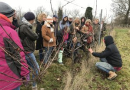A Very Social Enterprise: Marco Simonit Visits London's Forty Hall Vineyard
