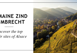 Domaine Zind Humbrecht - Discover the top terroir sites of Alsace