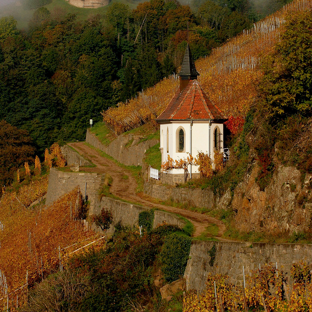DomaineZind Humbrecht Gewurztraminer1990