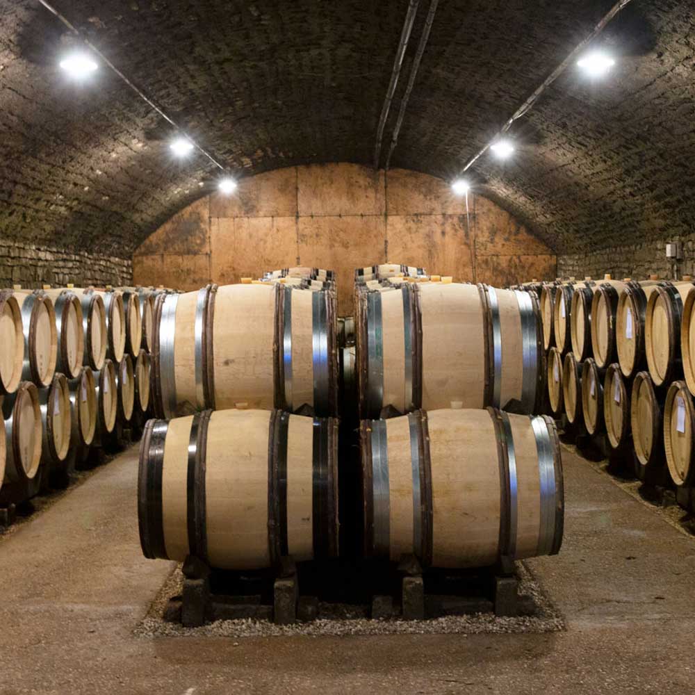 Vinfolio: Discover Volnay wines, Burgundy