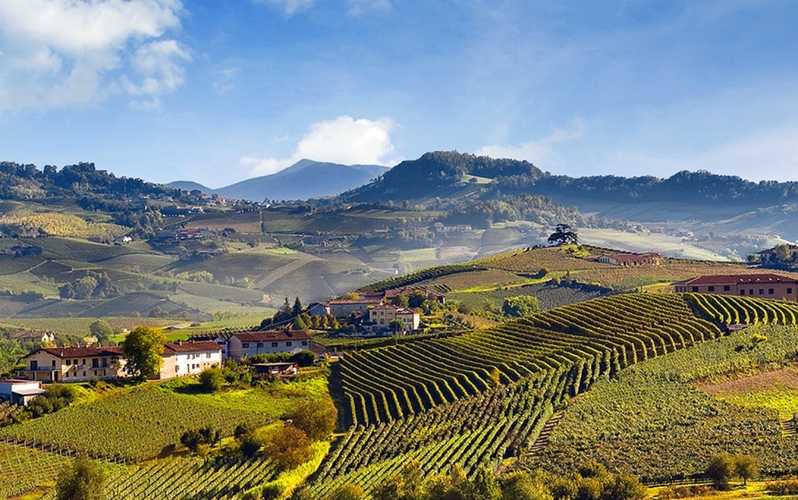 Produttori del Barbaresco - The Single Vineyard Riservas