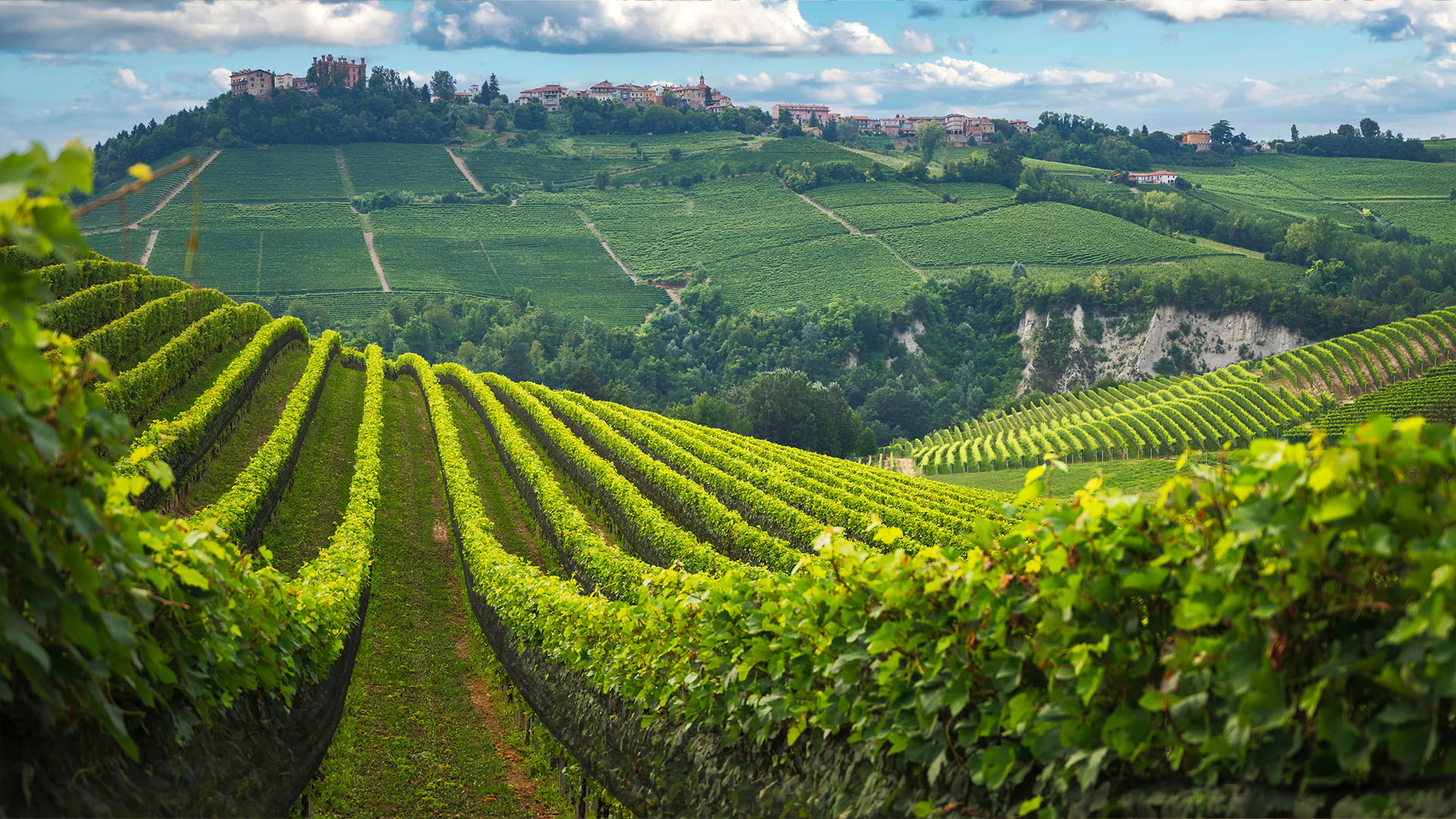 FINE RARE The sub regions of Barolo