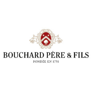 2019 Beaune Greves Vignes de l'Enfant Jesus Bouchard Pere & Fils Burgundy  France Still wine