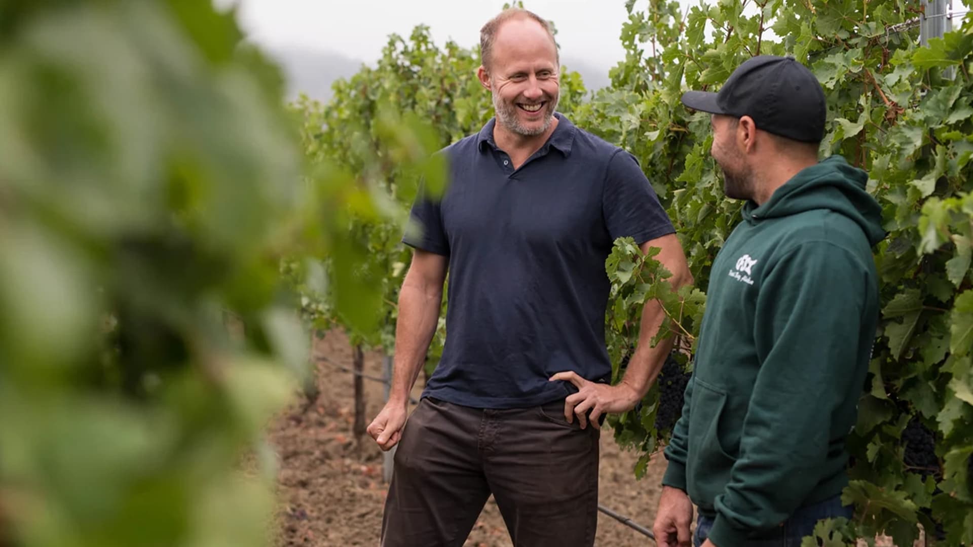 schrader-cellars-clonal-