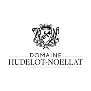 2010 Romanee St Vivant Domaine Hudelot-Noellat Burgundy  France Still wine