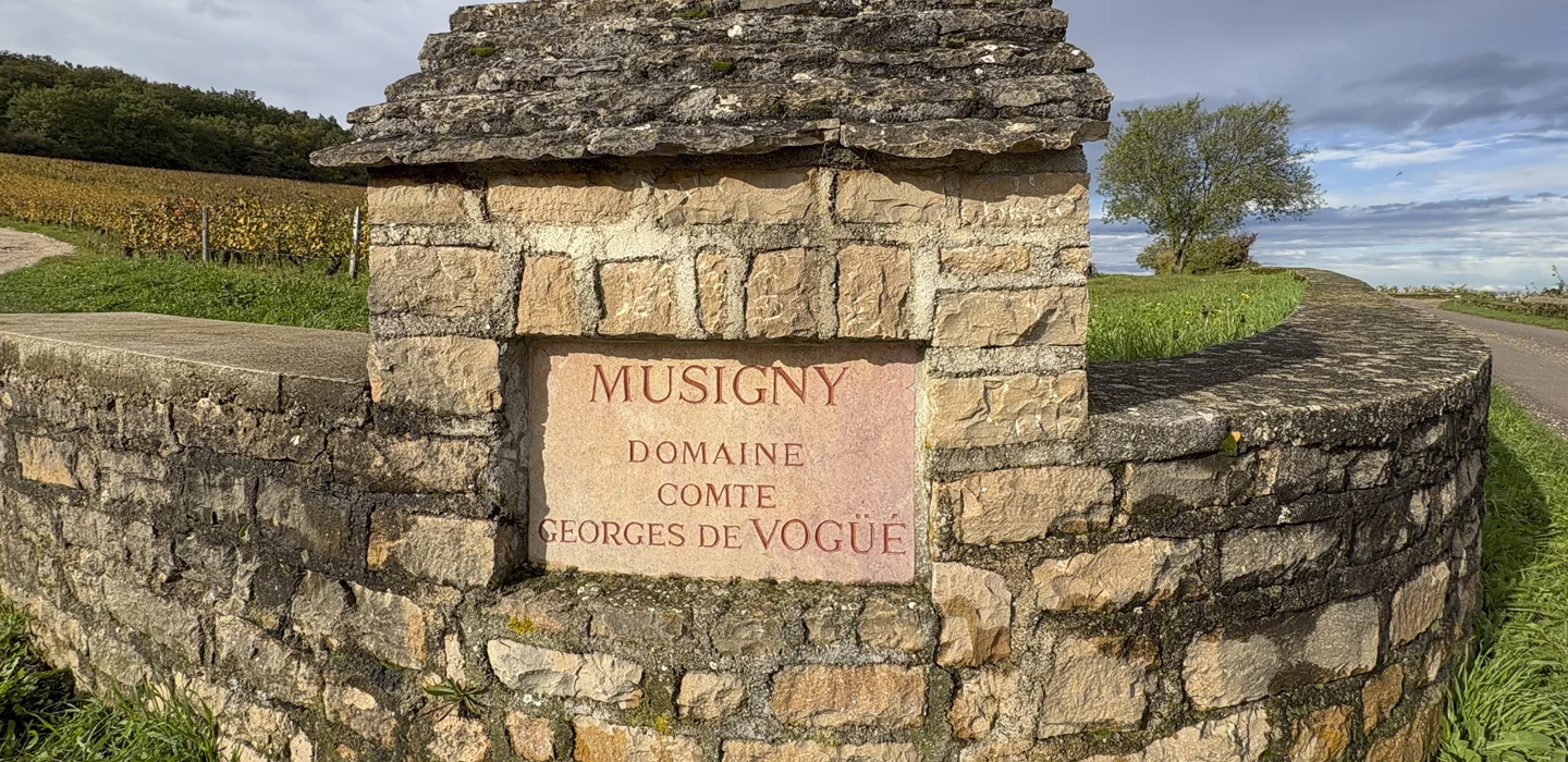 Vinfolio: Vinfolio: 1998 Musigny Vieilles Vignes