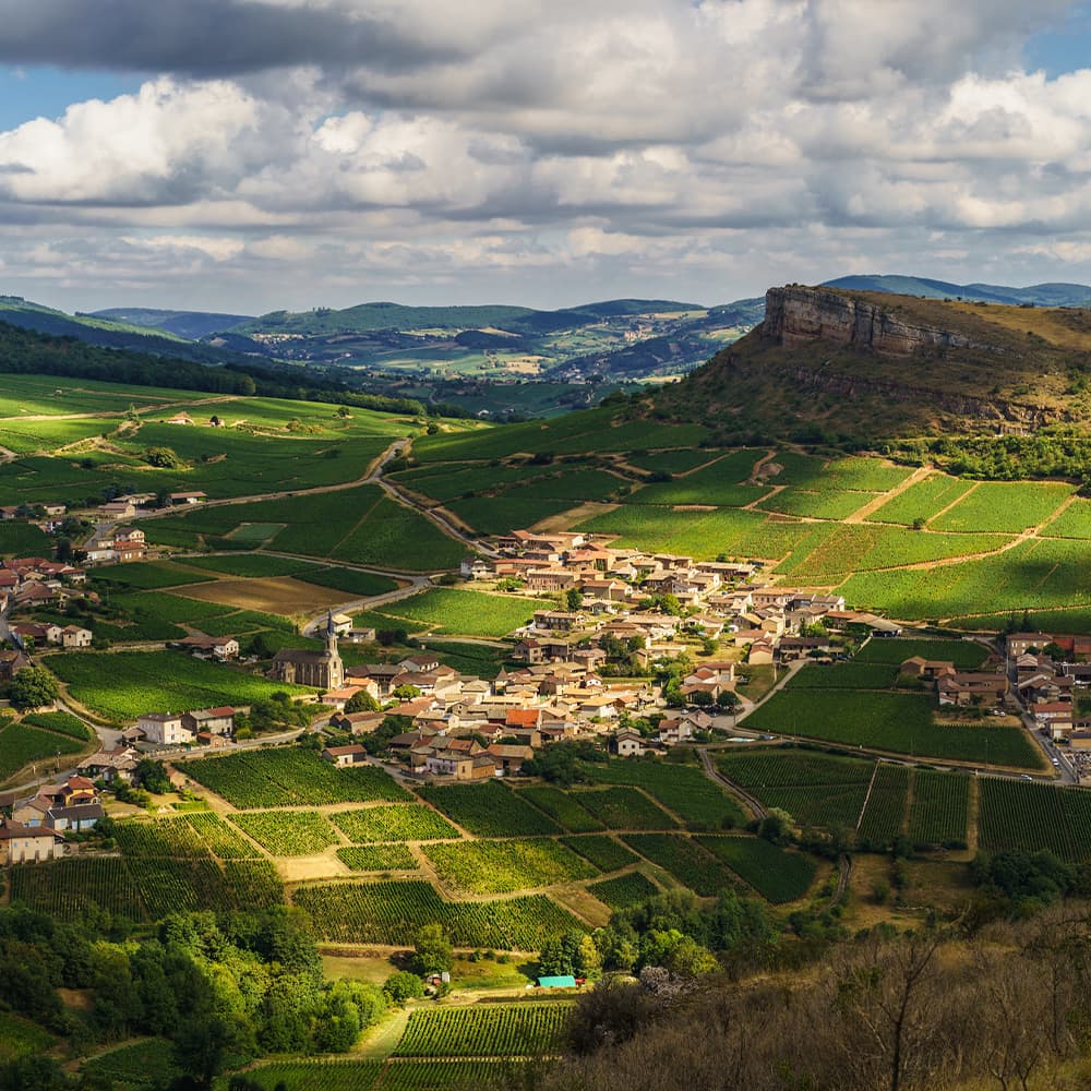 FINE+RARE: Burgundy Wines From Domaine Michel Gaunoux