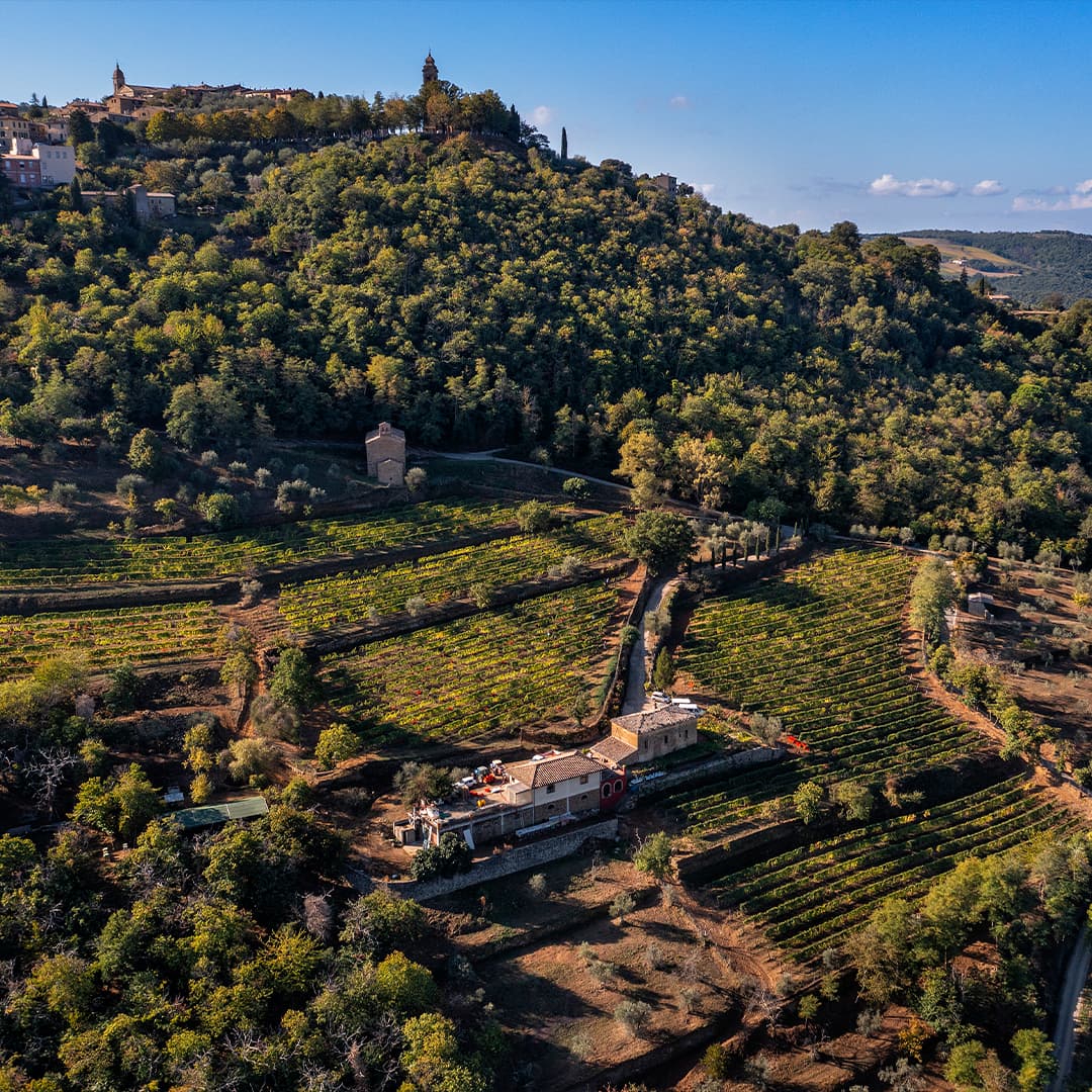 FINE RARE Buy 2011 Barolo Brunate Roberto Voerzio