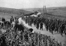 A Year in Wine: 1914