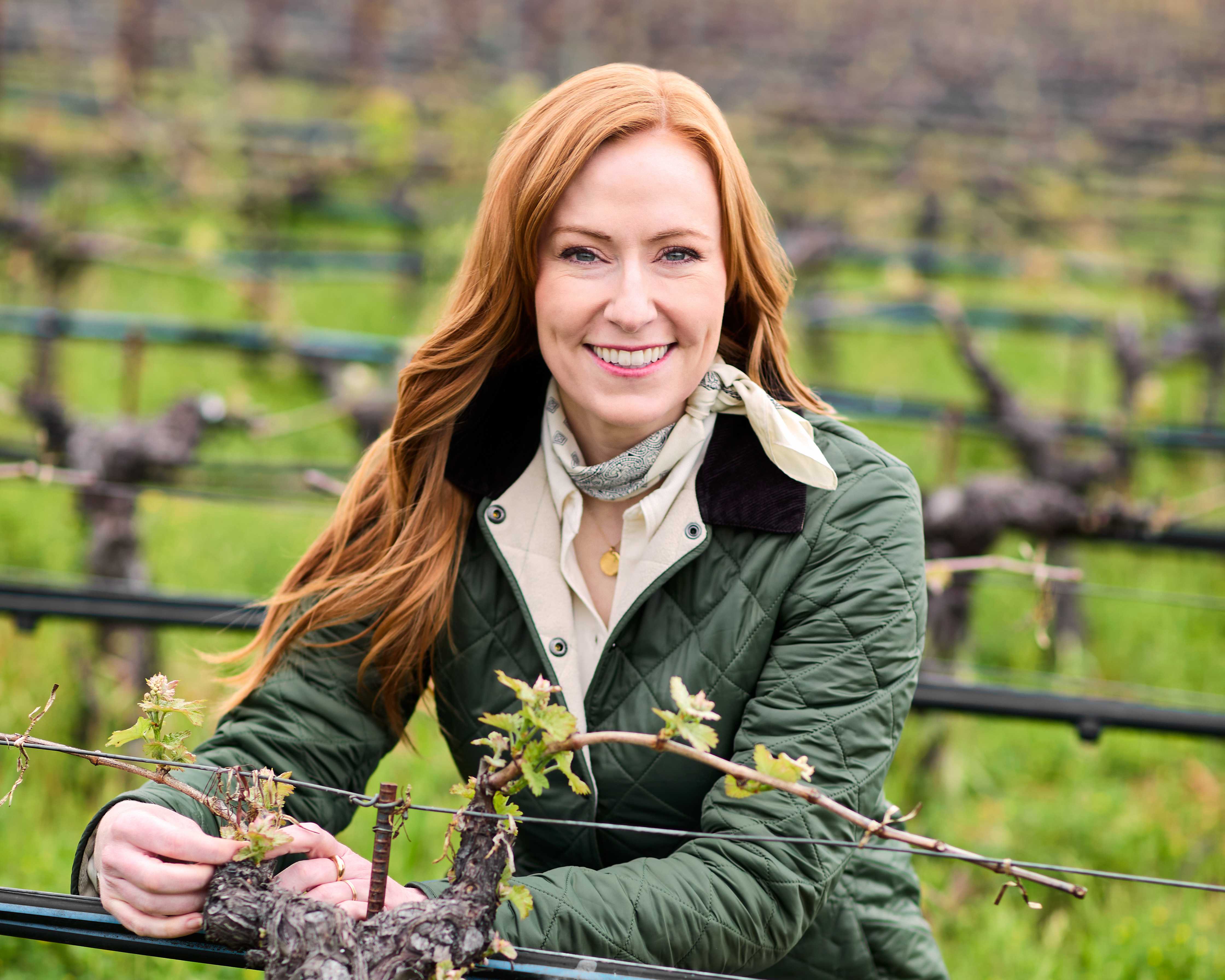 Vinfolio: Browse Opus One, Iconic Napa Wines