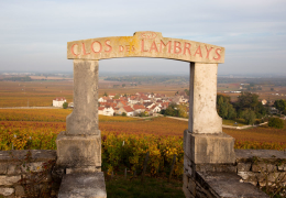 Burgundy 2020: our favourites