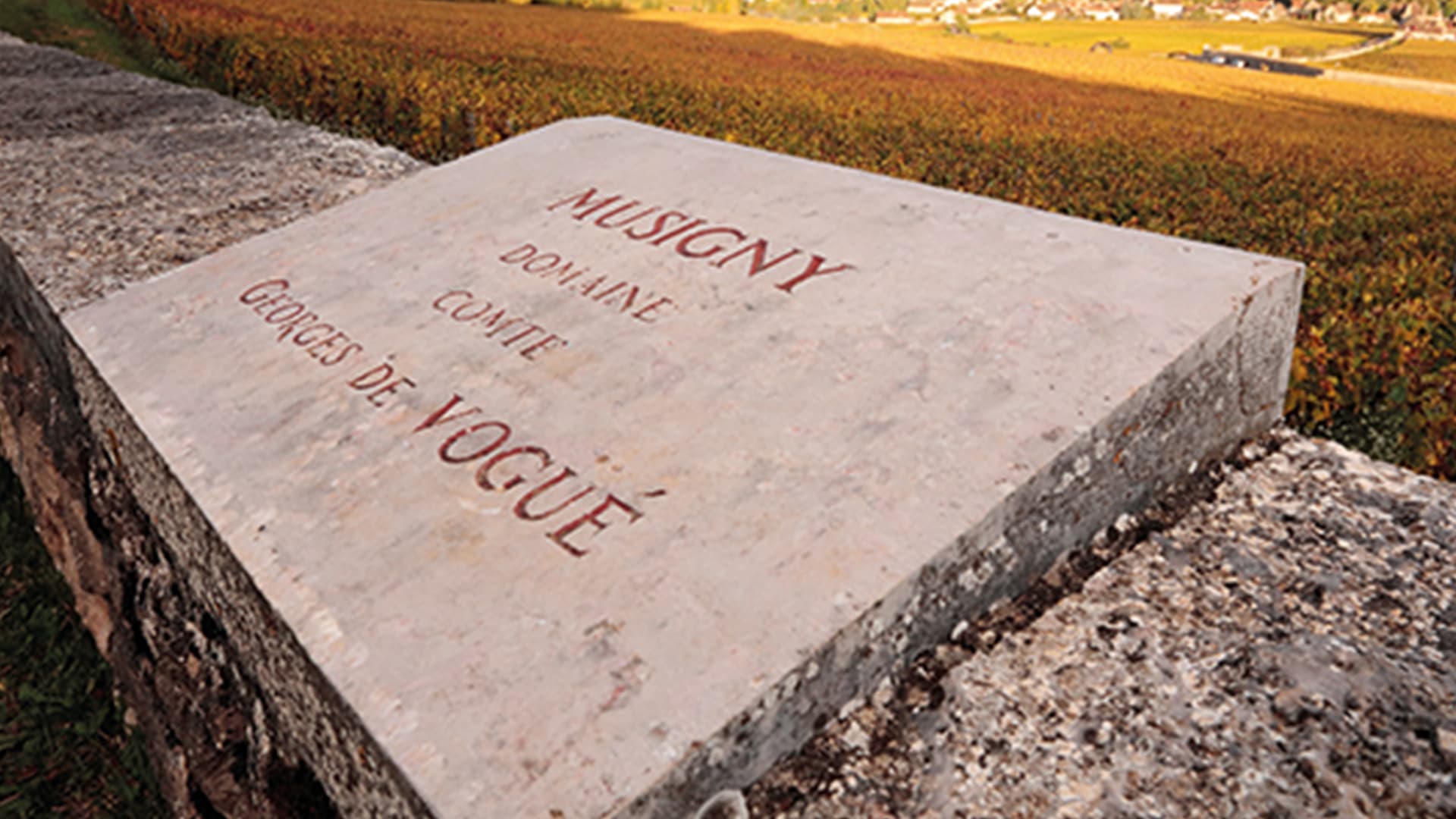FINE+RARE: Domaine Comte Georges De Vogue