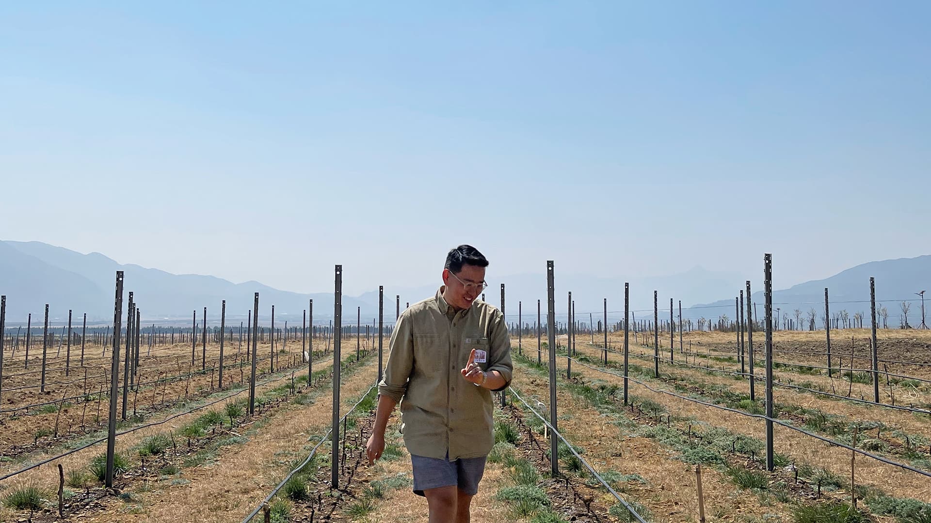 Vinfolio: Domaine Dujac, Exclusive Burgundy Wine Releases