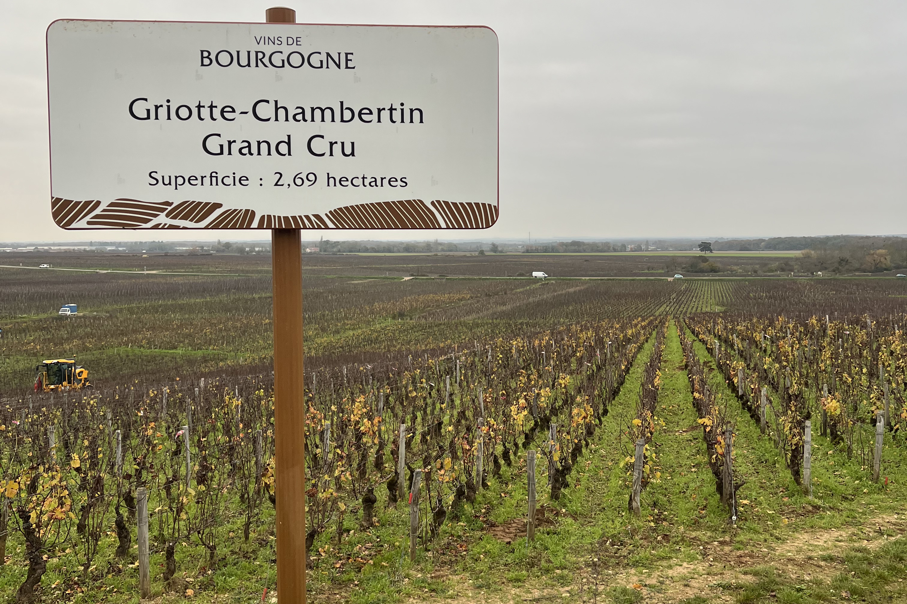 Vinfolio: The new Domaine des Chezeaux, Gevrey-Chambertin