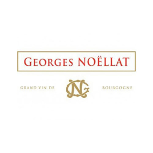 2011 Nuits St Georges Les Boudots Georges Noellat Burgundy  France Still wine