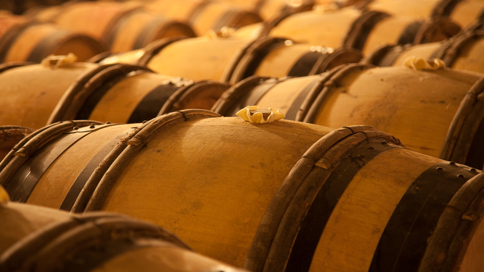 FINE+RARE: The 2014 Bordeaux wine vintage report