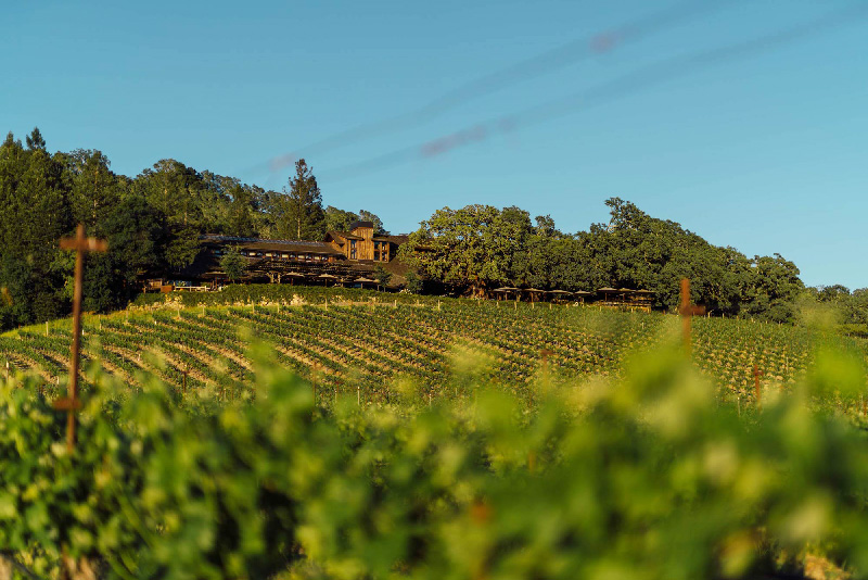 LVMH buys iconic California winery Joseph Phelps - MarketWatch