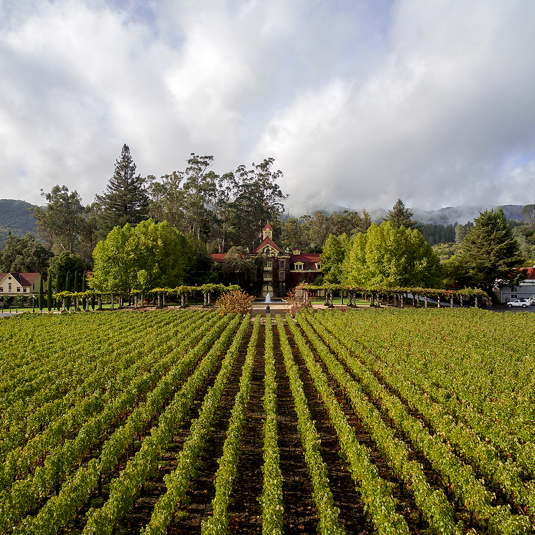 Vinfolio: Vinfolio: Buy 2014 Rubicon, Inglenook