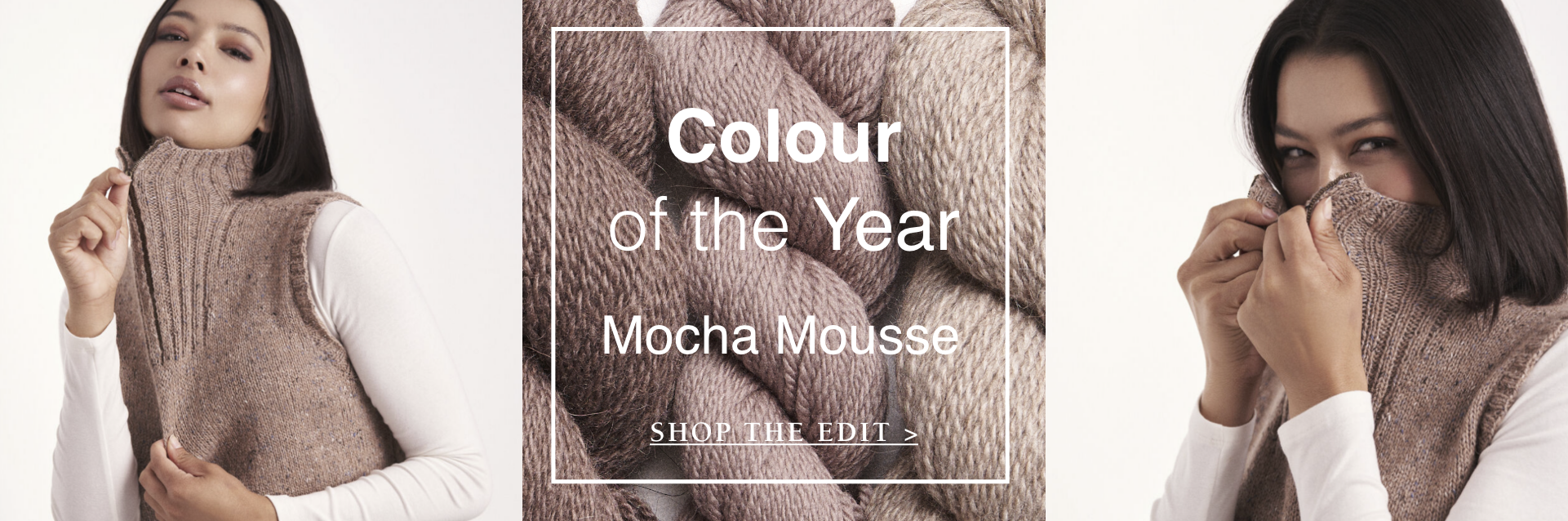 Mocha Mousse homepage banner